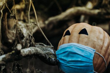 Doğal cadılar bayramı balkabağı Coronavirüs salgını maskeli, covid 19