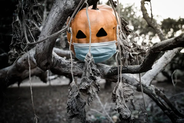 Halloween 2020 Calabaza Con Una Máscara Debido Covid Coronavirus — Foto de Stock