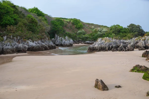 Plážová Krajina Karstickými Útvary Vegetací Berellin Prellezo Cantabria Španělsko — Stock fotografie