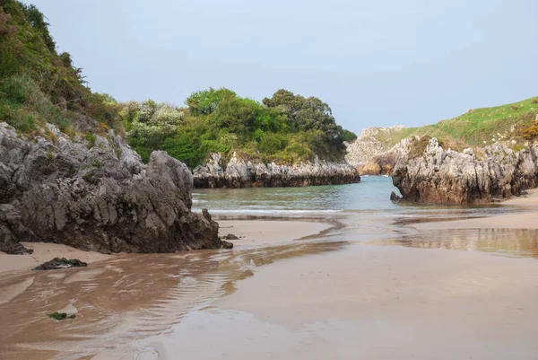 Sandstrand Med Karst Formationer Och Vegetation Berellin Prellezo Kantabrien Spanien — Stockfoto