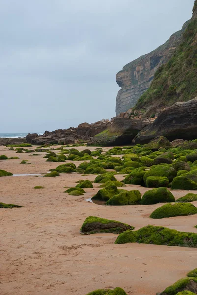 Вертикальний Ландшафт Пляжу Зеленими Скелями Передньому Плані Скелі Задньому Плані — стокове фото