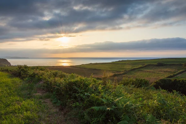 カンタブリア スペイン ヨーロッパの海に夕日と草原や海岸の風景 — ストック写真