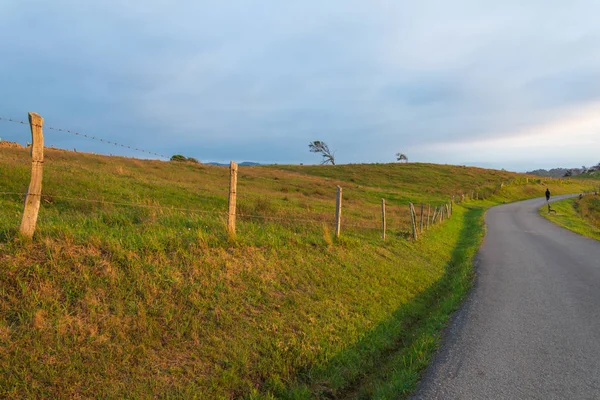 Cantabria, İspanya, Avrupa'da gün batımında çayırları ile yerel yol ve çit görünümü
