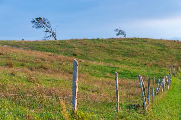 Cantabria, İspanya, Avrupa'da gün batımında çayır ve ağaçlar ile ahşap çit ve alıç görünümü