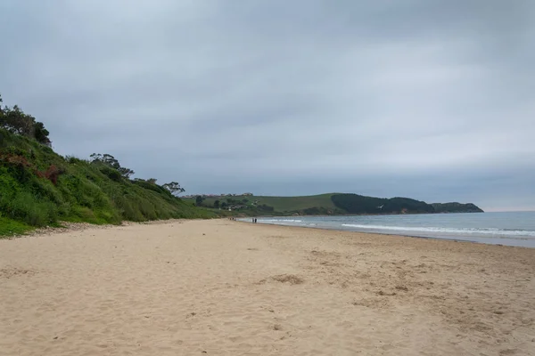 Landskap Öde Strand Med Vegetation Grumlig Sommar Eftermiddag Kantabrien Spanien — Stockfoto