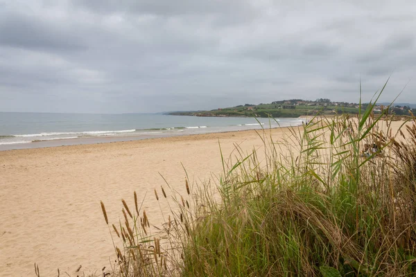 Öde Strand Landskap Med Grönska Förgrunden Molnigt Sommar Eftermiddag Kantabrien — Stockfoto