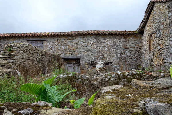 Granja Piedra Abandonada Sin Techo Vegetación Norte España Europa —  Fotos de Stock