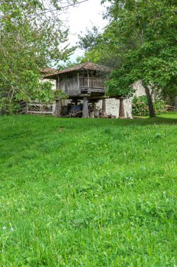 Asturias, Avrupa, İspanya tahıl depolamak için ahşap horreo ile bir çayır ve ağaçların dikey görünümü