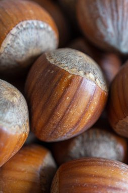 Dikey olarak tüm fındıkların makro yakın çekimi