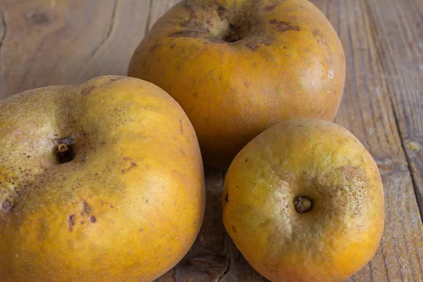 Yıpranmış ahşap arka planda üç elma bahçesi reinetas üst görünümü yatay