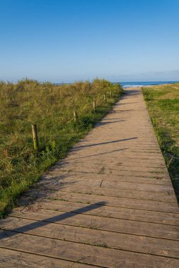 Günbatımında, Cantabria, İspanya 'da deniz ve sahil arasında çimenler arasında sonbahar manzarası