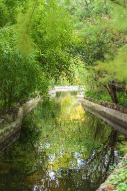 Madrid, İspanya 'daki El Capricho parkında suya yansıyan yeşil bambu ve diğer bitkilerle çevrili bir kanal görüntüsü.