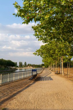 Bir yaz öğleden sonra Madrid, İspanya 'da dikey olarak bir parkta ağaçların oluşturduğu bir patikanın manzarası.