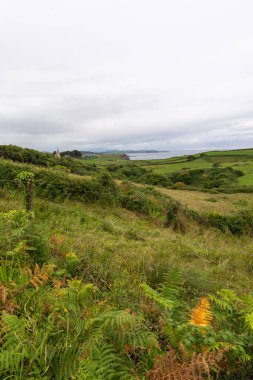 Bulutlu bir yaz öğleden sonrasında, Cantabria, İspanya 'da, arka planda deniz bulunan yeşil tarlaların manzarası. Dikey