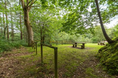 İspanya 'nın kuzeyinde ağaçlarla çevrili bir piknik alanının yatay görüntüsü.