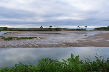 Riye 'nin alçak gelgit manzarası, bitki örtüsü ve arka planda deniz, bulutlu gökyüzü, Oyamber, Cantabria, İspanya, yatay
