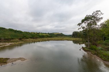 Bitki ve ağaçlarla kaplı nehir kıyılarının manzarası, bulutlu bir öğleden sonra, Oyambre, Cantabria, yatay