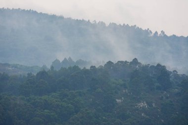 Yaz fırtınasından sonra ağaçlarla kaplı tepelerin manzarası, sisli gökyüzü, yatay Cantabria, İspanya