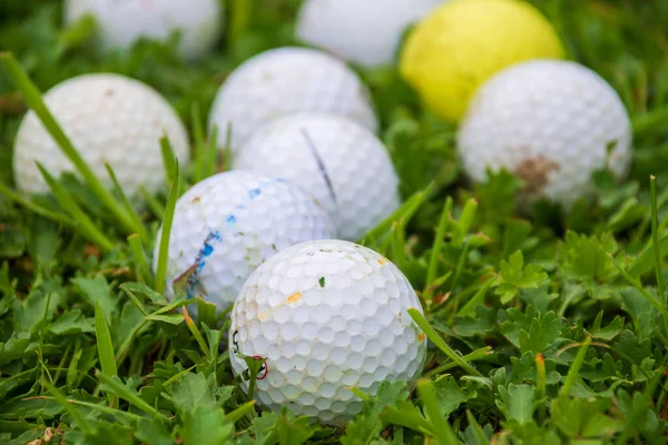 白と黄色のゴルフボールのグループのクローズアップ ボケと 緑の芝生の上で — ストック写真