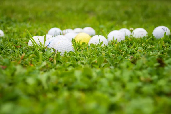 Close Van Ongeconcentreerd Gras Een Groep Golfballen Gras Horizontaal Met — Stockfoto