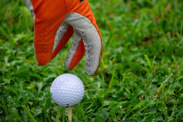 オレンジ色の手袋とティー上の白いゴルフボールと密接な手 緑の芝生の上 水平方向に コピースペースと — ストック写真
