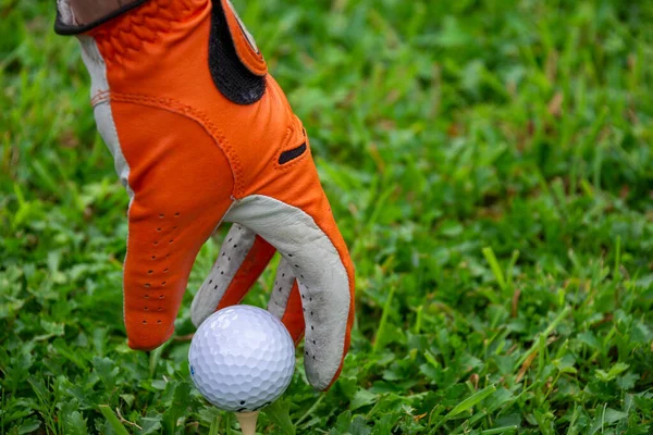 Zicht Hand Met Oranje Handschoen Witte Golfbal Tee Groen Gras — Stockfoto