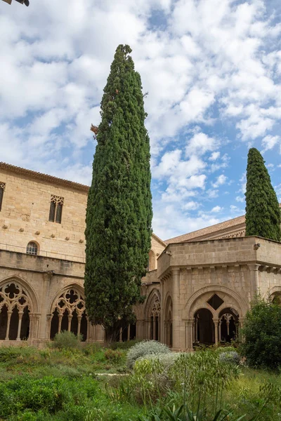 Vertical View Cypress Trees Cloister Garden Cistercian Monastery Poblet Tarragona Stock Image