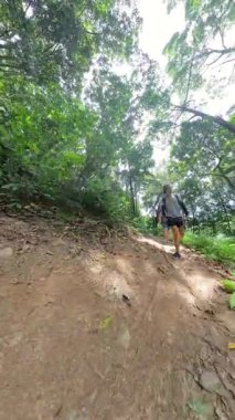 Dikey video. Ağaçların arasından süzülen güneş ışığıyla dolu yemyeşil bir orman yolunda yürüyen bir kadın, toprak yola bakıyor, geniş bir açı, orman keşfi kavramı.