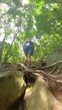 Dikey video. Orman yolunda yokuş yukarı yürüyen mavi kot elbise ve şapkalı bir kadın, tırmanırken aşağıdan vurulmuş, Orman Macerası Konsepti.