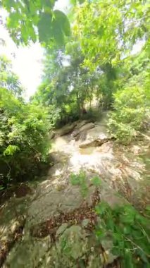 Dikey video. Yoğun tropikal yapraklar ve güneş ışığı ile çevrili kayaların üzerinden akan küçük şelalenin görüntüsü, Sakin Doğa Akıntısı Konsepti