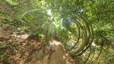 Orman yolunda yürüyen bir kadın yoğun yeşil ağaçların arasından süzülen güneş ışığıyla 360 derece kıvrımlı manzaralı orman huzuru kavramına yakalanır.