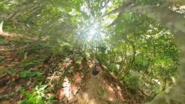 Kadın kemerli tropikal ağaçların altında tek başına orman yolunda yürümeye devam ediyor çarpık küresel bir perspektifle, Dijital Vahşi Yaşam Konseptiyle