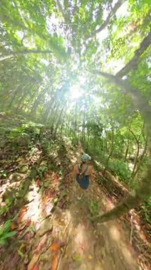 Dikey video. Kadın kemerli tropikal ağaçların altında tek başına orman yolunda yürümeye devam ediyor çarpık küresel bir perspektifle, Dijital Vahşi Yaşam Konseptiyle