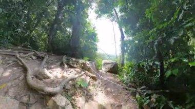 Uçurumun kenarındaki büyük kayaların üzerine basan kişi yoğun ormanlarla çevrili parlak gökyüzünün altındaki uzak tepeler,