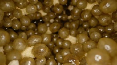 Dolly Kaydırıcı Papaya 'nın içinden dışa doğru hareket ediyor Parlak Siyah Tohumlar ve Fibröz Sarı Et, Tropikal Meyve Doku Keşfi Konsepti