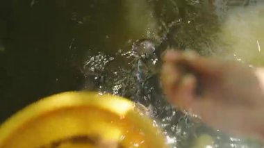 Kabarcıklarla ve Yansımalarla Su Yüzeyi Altında Görünür Açıkta, Dinamik Beslenme Konsepti