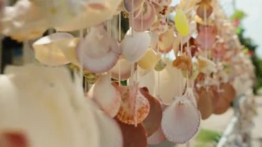 Asılı Deniz Kabuğu Süslemeleri Bulanık Arkaplan Piyasası Yakın Açı, Kıyı Sanatı Konsepti