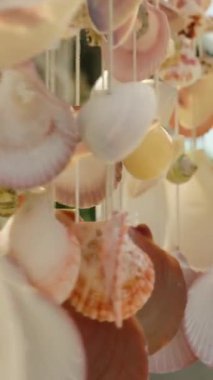 Dikey video. Asılı Deniz Kabuğu Süslemeleri Bulanık Arkaplan Piyasası Yakın Açı, Kıyı Sanatı Konsepti