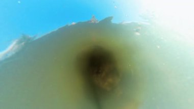 Bulanık Yeşil Su 'da Yüzen Küçük Balık Tapınak Tavanı Tepe Açısı Yansıyan Su Altında Keşif Konsepti