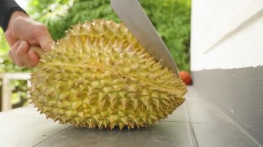 Eller, Dikenli Durian 'ı Açık Masada Büyük Bıçakla Kesiyor Parlak Gün Işığı Egzotik Meyve Konsepti