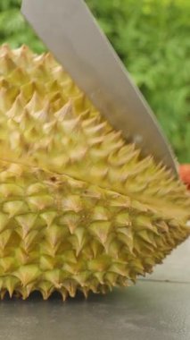 Dikey video. Eller, Dikenli Durian 'ı Açık Masada Büyük Bıçakla Kesiyor Parlak Gün Işığı Egzotik Meyve Konsepti