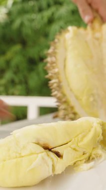 Dikey video. El ele tutuşmalar, açık Durian Üstü Beyaz Tabak, Sarı Et ve Yeşil Bahçe Sağlıklı Tropikal Meyve Konsepti