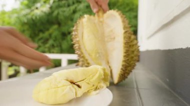 El ele tutuşmalar, açık Durian Üstü Beyaz Tabak, Sarı Et ve Yeşil Bahçe Sağlıklı Tropikal Meyve Konsepti