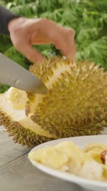 Dikey video. Bir Dikenli Durian 'ı daha Soyulmuş Segmentlerin yanında Bıçakla Kesen Sağlıklı Tropikal Meyve Konsepti
