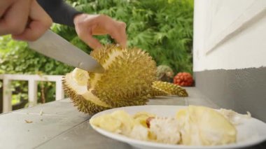 Bir Dikenli Durian 'ı daha Soyulmuş Segmentlerin yanında Bıçakla Kesen Sağlıklı Tropikal Meyve Konsepti
