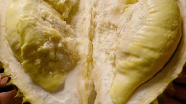 Kamera Siyah Arkaplan Tropikal Meyve Konseptinde Yukarı Kayarken Eller Açık Durian Etini ve Dikenli Kabuğu Gösteriyor