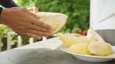 Dikenli Durian mermisi taşıyan kişi kremsi sarı kısımları beyaz tabağa dökerken açık hava egzotik yiyecek kavramını kapat