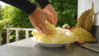 Eller Kırılıyor Büyük Sarı Durian Et Bölümü Yeşil Arkaplan ve Masa Sağlıklı Meyve Konsepti ile Yakın