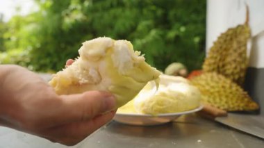 El ele tutuşmak Tüm Sarı Durian Et Parçası Tabağın üzerinde Parlak açık hava ışığı Sağlıklı Gıda kavramı