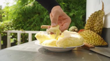 Durian Etinin Küçük Yumuşak Parçası Gün Işığında Beyaz Tabağın Üzerinde Büyük Segmentlerle Sağlıklı Yeme Konsepti